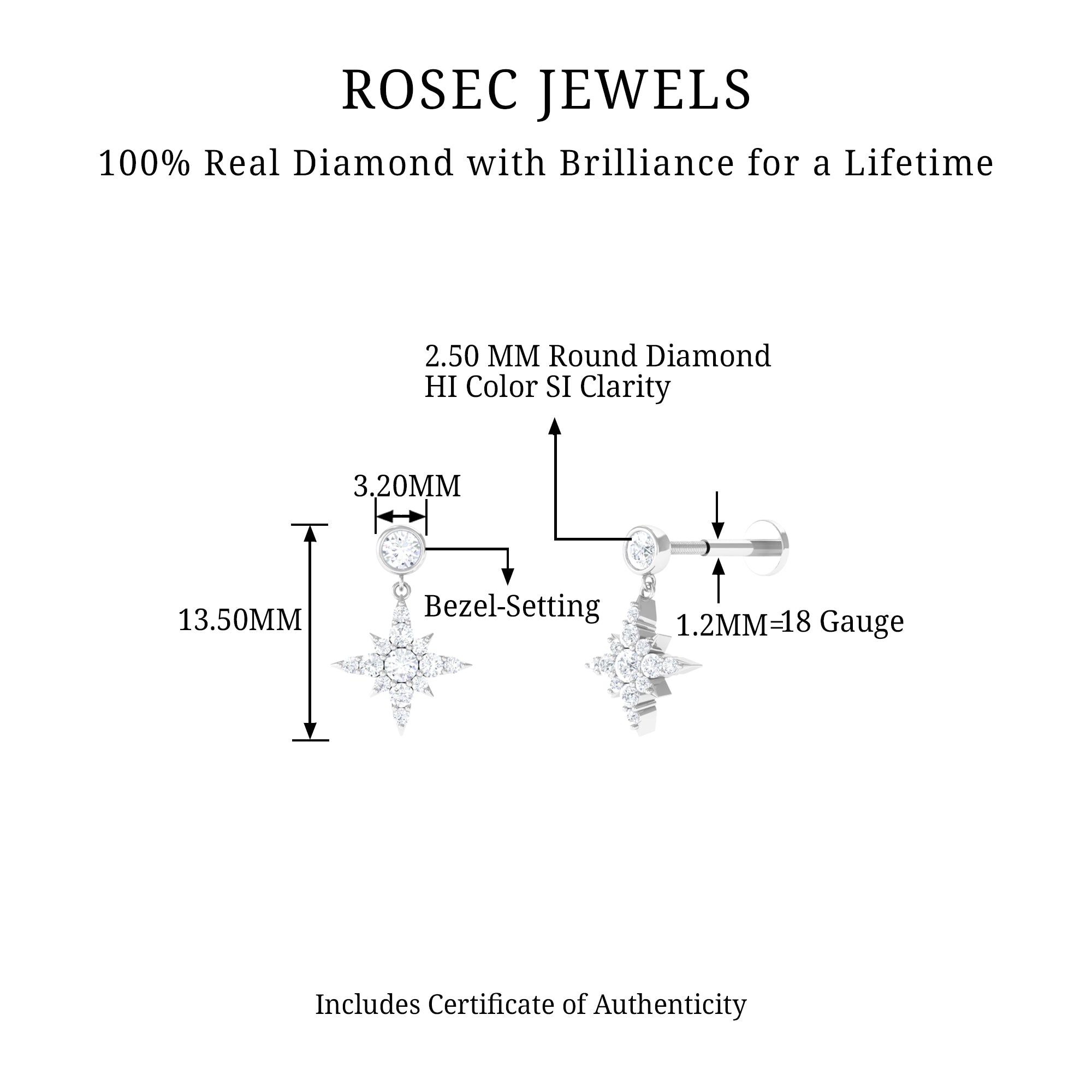 Rosec Jewels-Natural Diamond Starburst Drop Earring